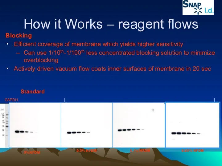 How it Works – reagent flows Blocking Efficient coverage of membrane