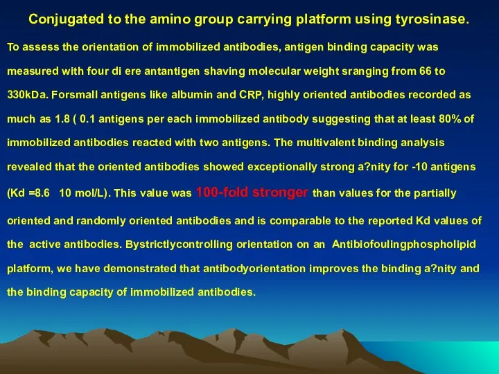 Conjugated to the amino group carrying platform using tyrosinase. To assess