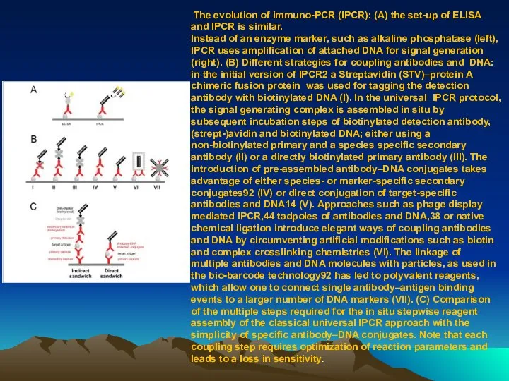 The evolution of immuno-PCR (IPCR): (A) the set-up of ELISA and