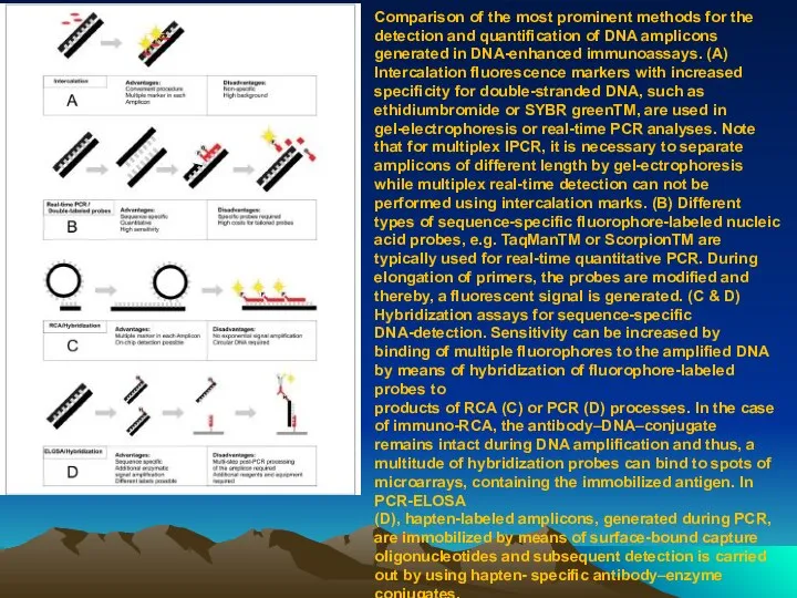 Comparison of the most prominent methods for the detection and quantiﬁcation