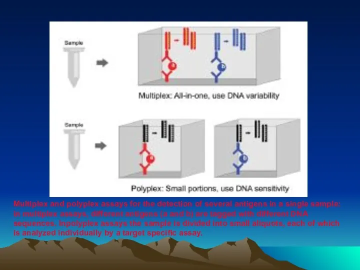 Multiplex and polyplex assays for the detection of several antigens in