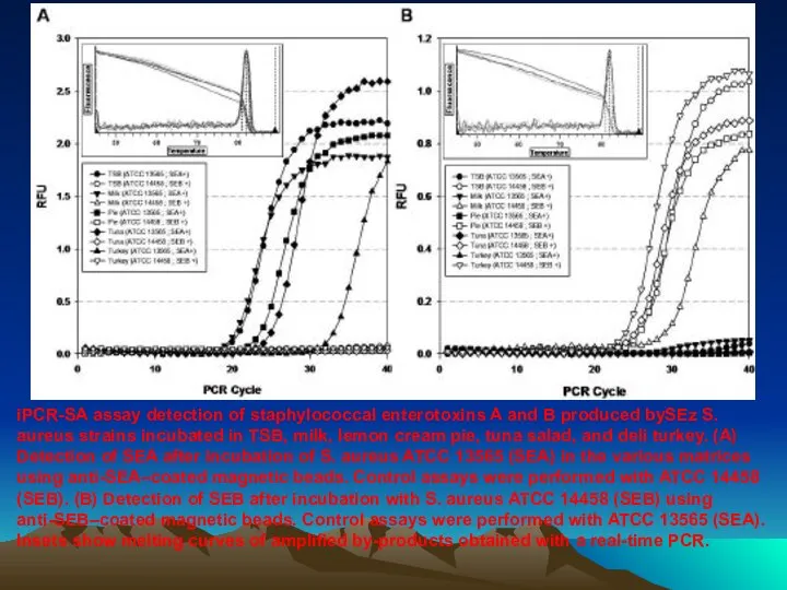 iPCR-SA assay detection of staphylococcal enterotoxins A and B produced bySEz