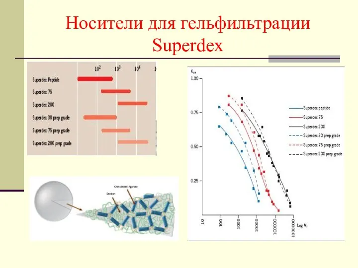 Носители для гельфильтрации Superdex