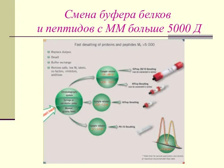 Смена буфера белков и пептидов с ММ больше 5000 Д