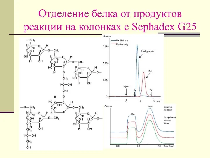 Отделение белка от продуктов реакции на колонках с Sephadex G25