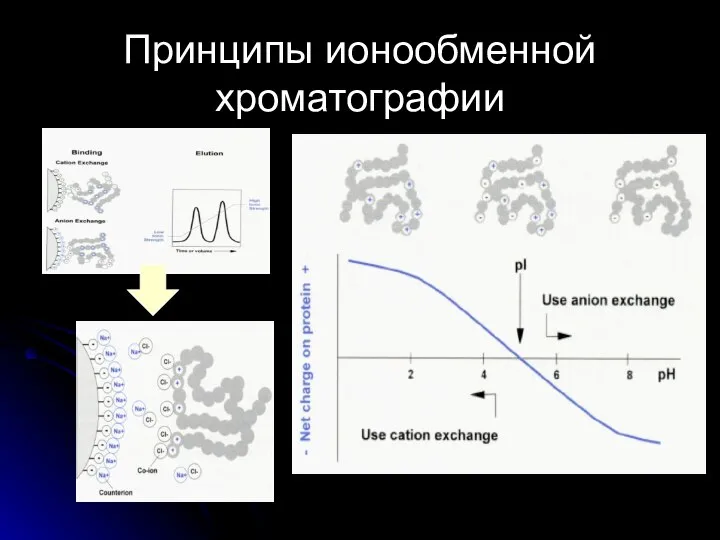 Принципы ионообменной хроматографии