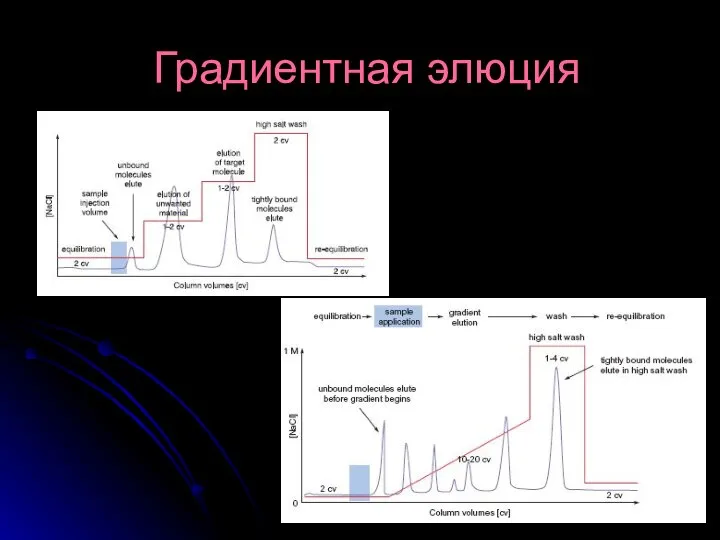 Градиентная элюция