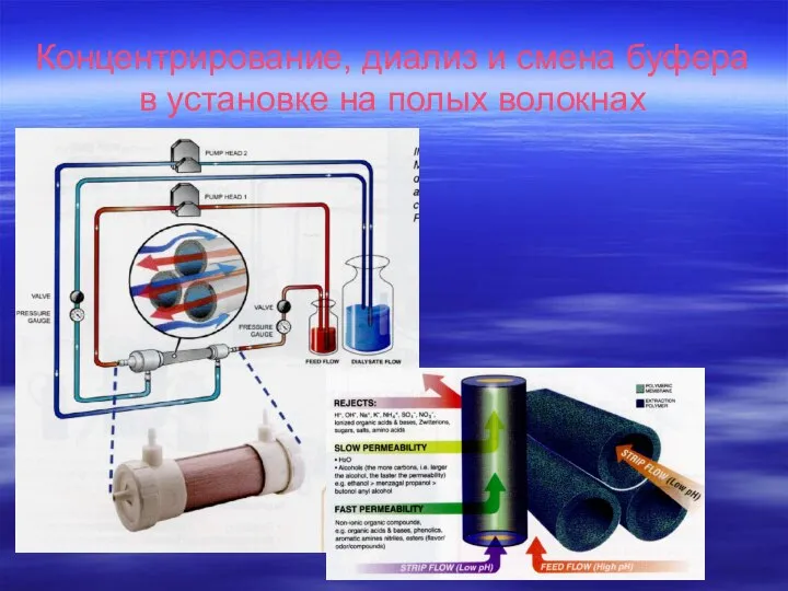 Концентрирование, диализ и смена буфера в установке на полых волокнах