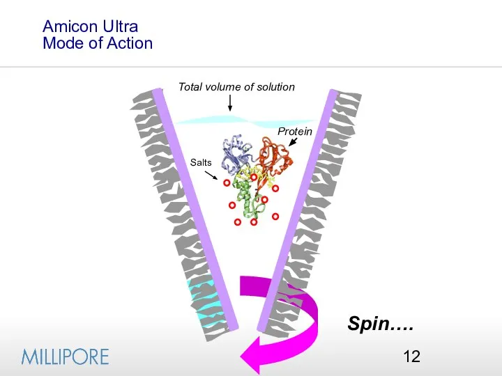 Spin…. Protein Total volume of solution Amicon Ultra Mode of Action