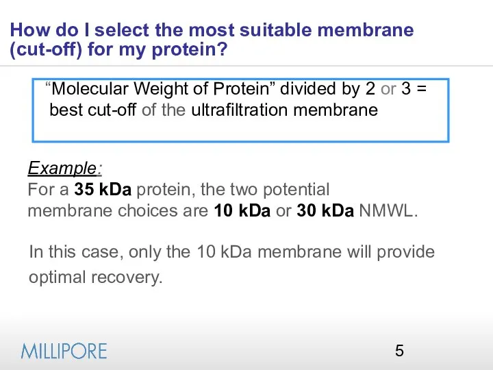 How do I select the most suitable membrane (cut-off) for my