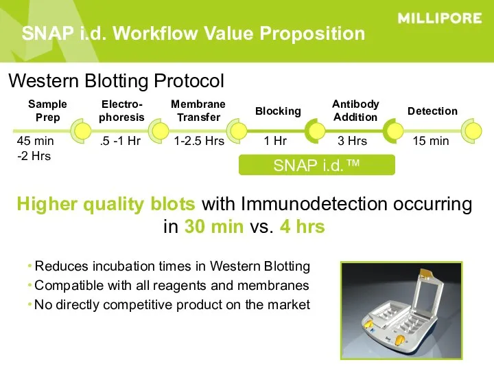 Electro- phoresis Membrane Transfer Blocking Antibody Addition Detection Sample Prep 45