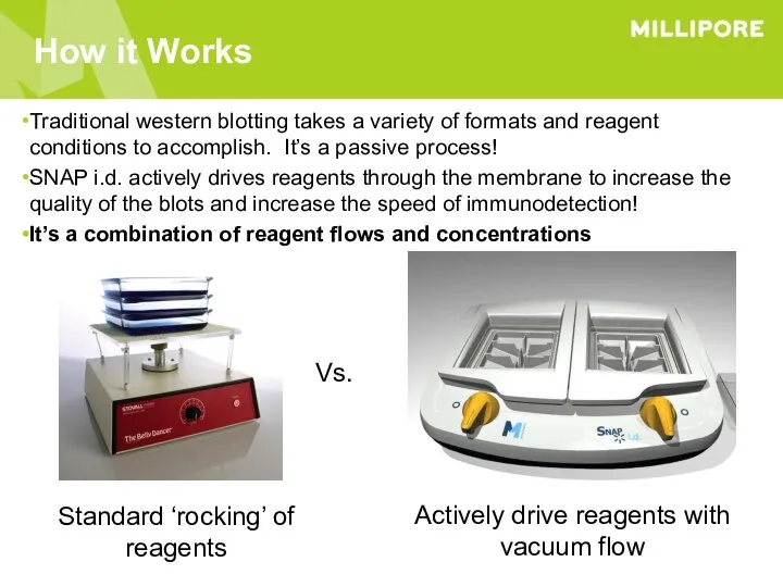 How it Works Traditional western blotting takes a variety of formats