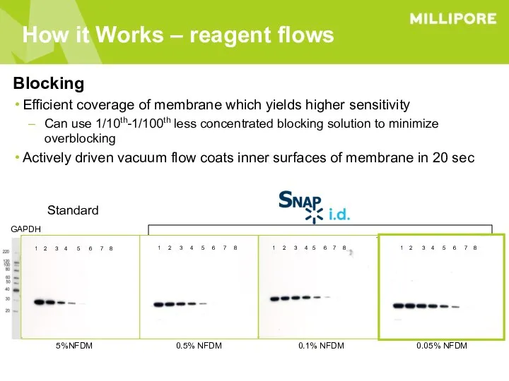 How it Works – reagent flows Blocking Efficient coverage of membrane