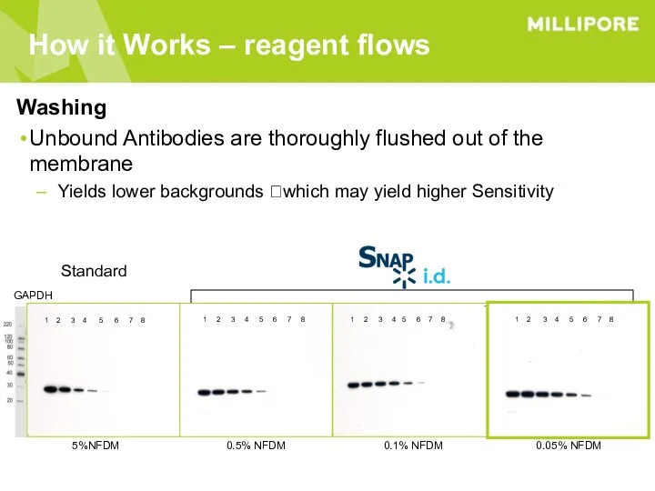 How it Works – reagent flows Washing Unbound Antibodies are thoroughly