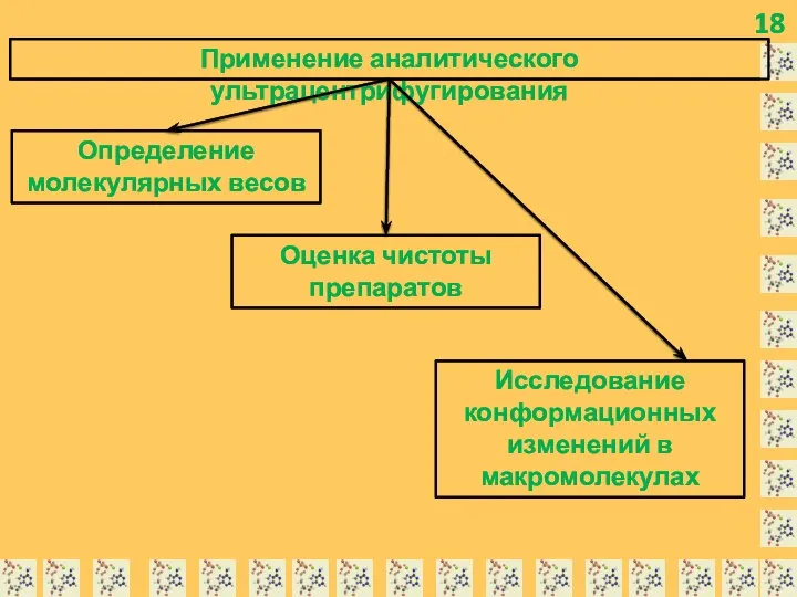 18 Применение аналитического ультрацентрифугирования Определение молекулярных весов Оценка чистоты препаратов Исследование конформационных изменений в макромолекулах