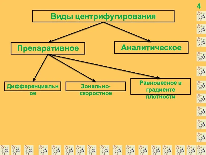 4 Виды центрифугирования Препаративное Аналитическое Дифференциальное Зонально-скоростное Равновесное в градиенте плотности