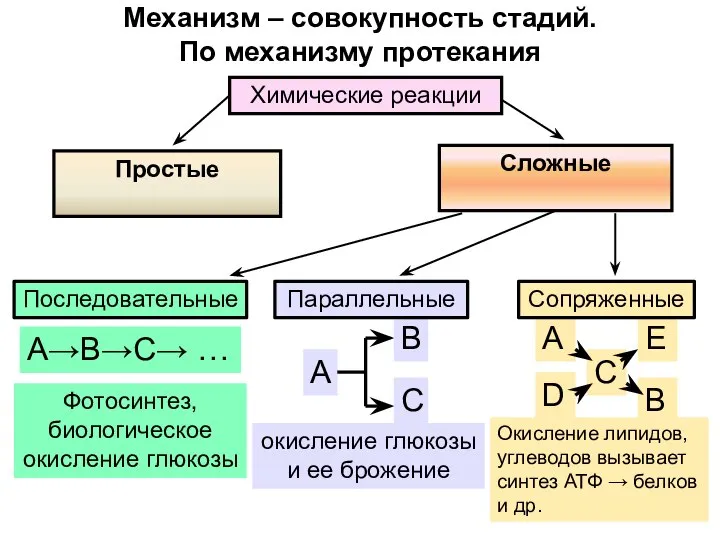 Механизм – совокупность стадий. По механизму протекания