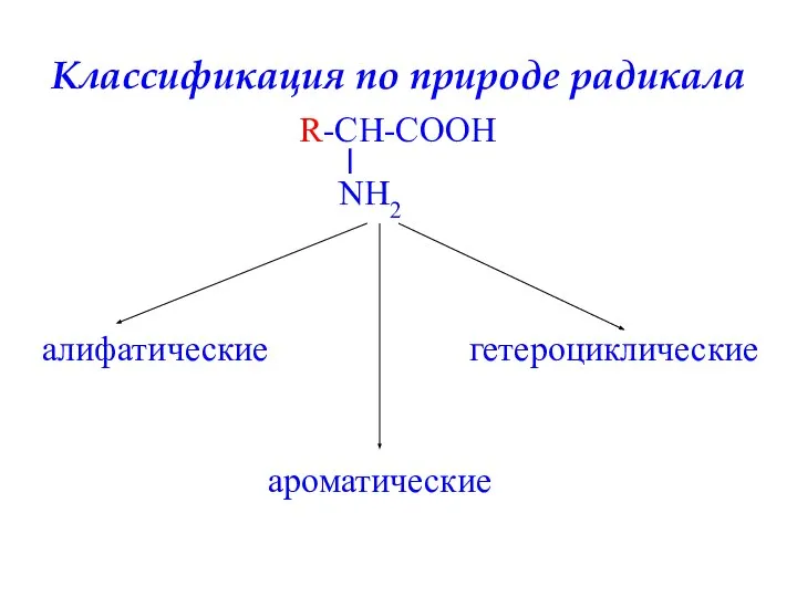 Классификация по природе радикала алифатические ароматические гетероциклические