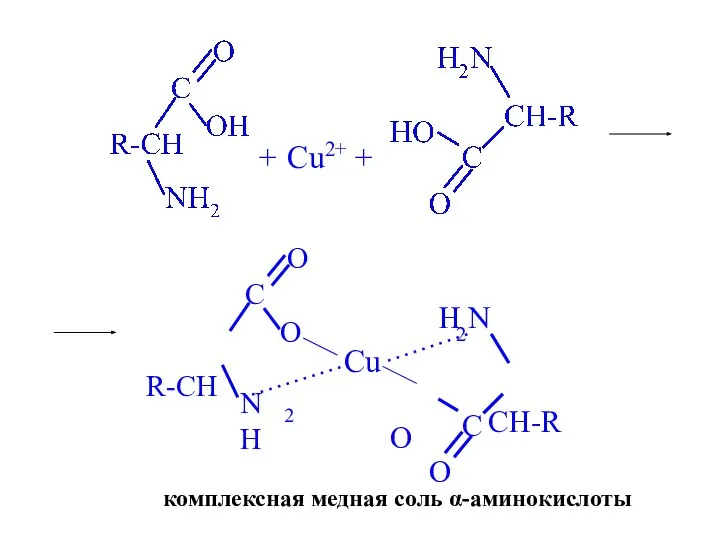 + Cu2+ + комплексная медная соль α-аминокислоты