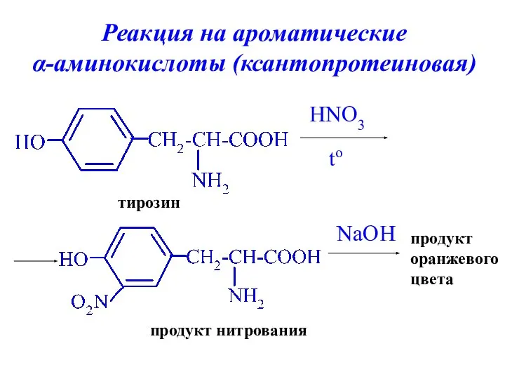 Реакция на ароматические α-аминокислоты (ксантопротеиновая) HNO3 to NaOH тирозин продукт нитрования продукт оранжевого цвета