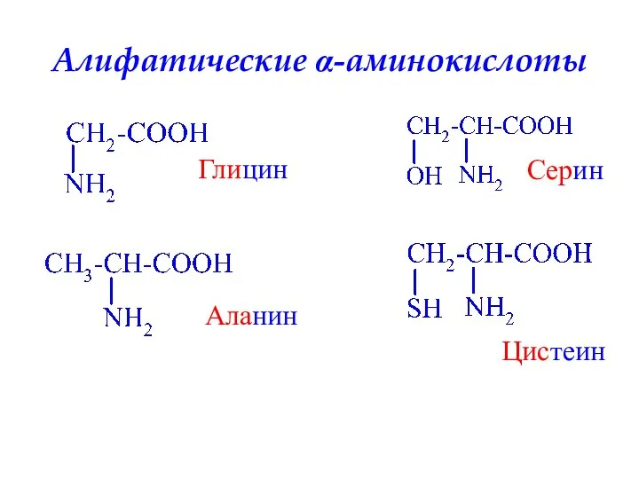Алифатические α-аминокислоты Глицин Аланин Серин Цистеин