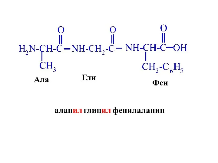 Ала Гли Фен аланил глицил фенилаланин