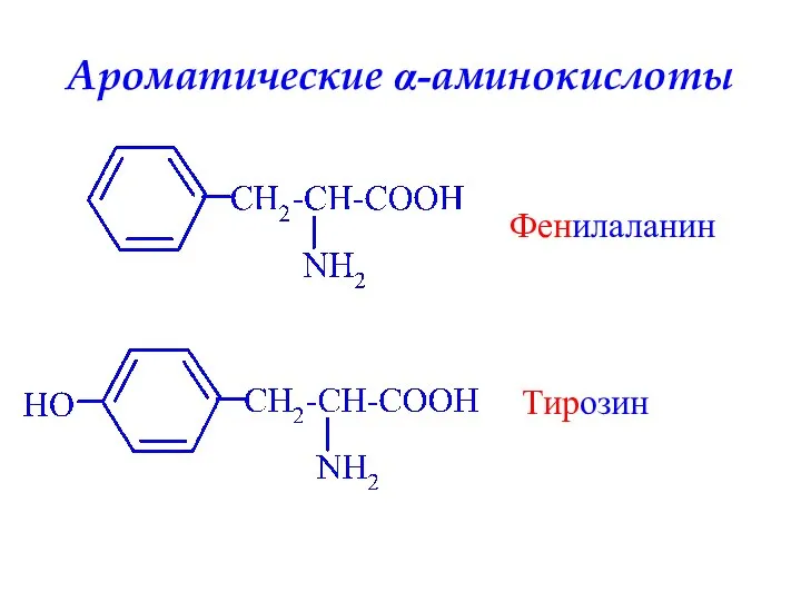 Ароматические α-аминокислоты Тирозин Фенилаланин
