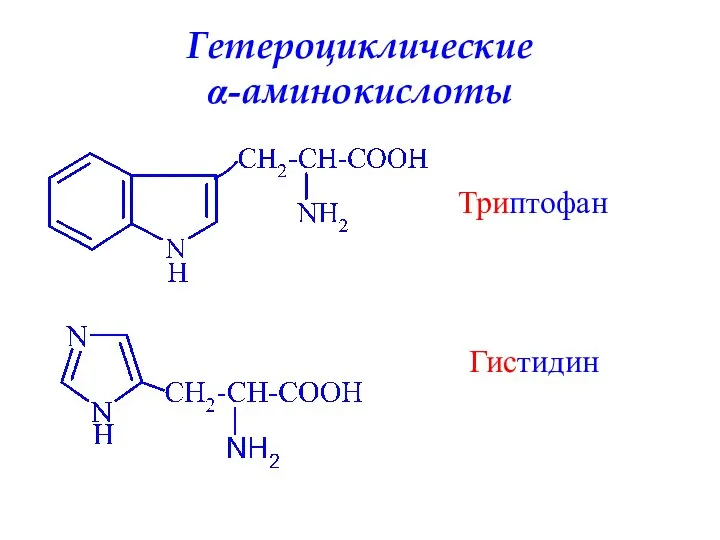 Гетероциклические α-аминокислоты Гистидин Триптофан