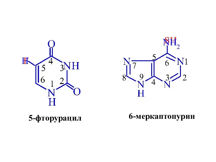 F 5-фторурацил H SH 6-меркаптопурин NH2