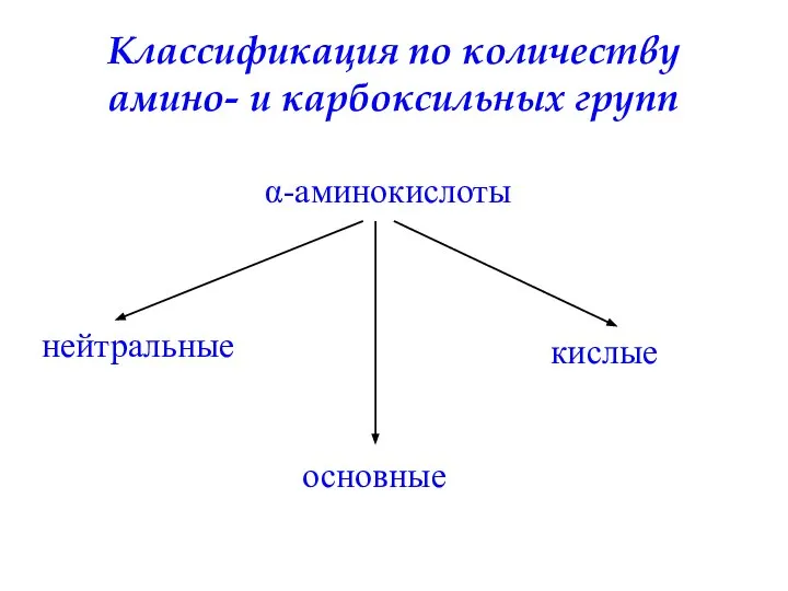 Классификация по количеству амино- и карбоксильных групп нейтральные основные кислые α-аминокислоты