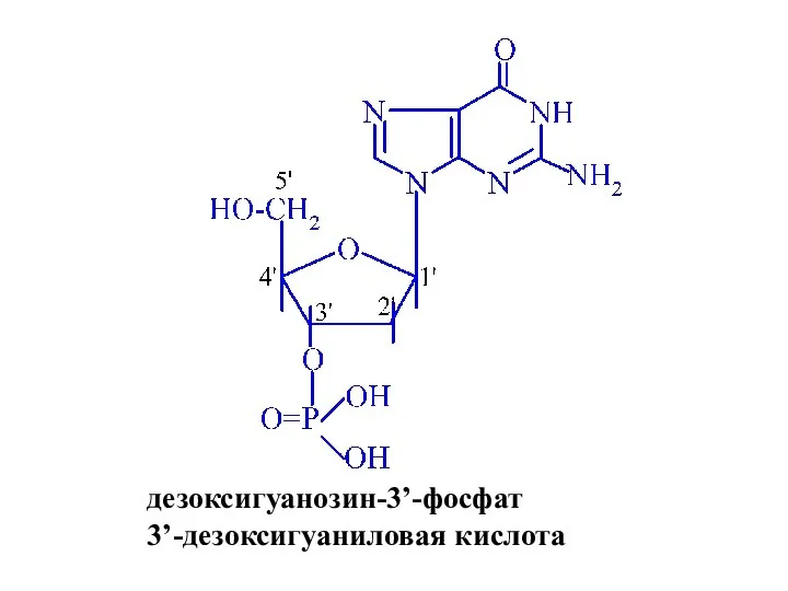 дезоксигуанозин-3’-фосфат 3’-дезоксигуаниловая кислота