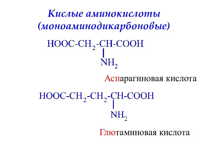 Кислые аминокислоты (моноаминодикарбоновые) Аспарагиновая кислота Глютаминовая кислота