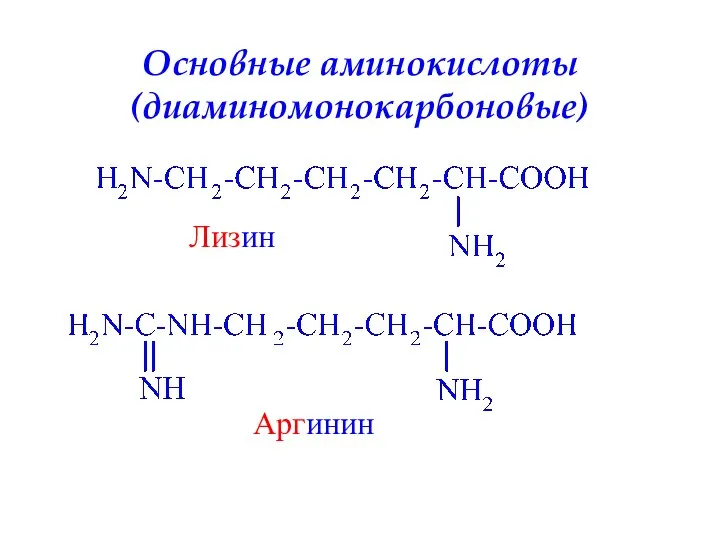 Основные аминокислоты (диаминомонокарбоновые) Лизин Аргинин