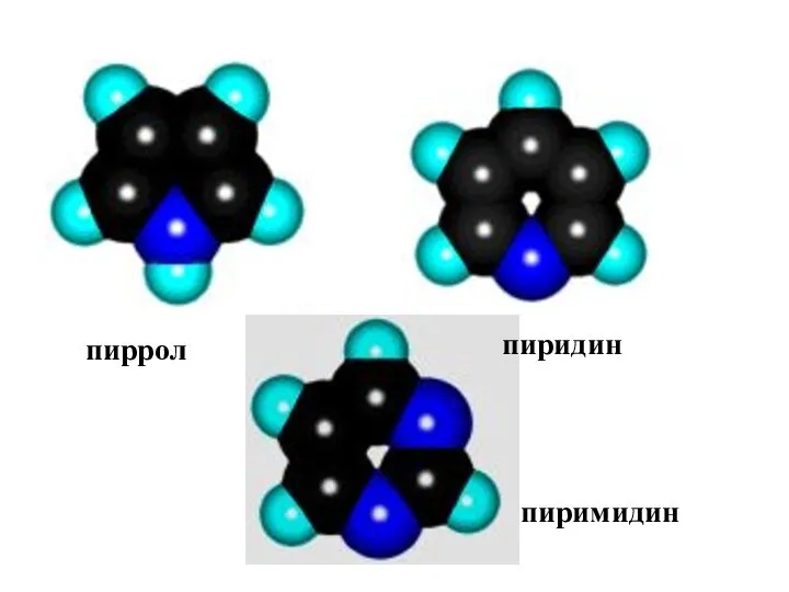 пиридин пиримидин пиррол