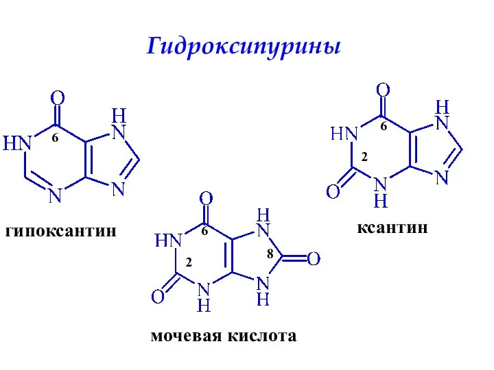 Гидроксипурины 8 2 6 6 6 2 гипоксантин ксантин мочевая кислота