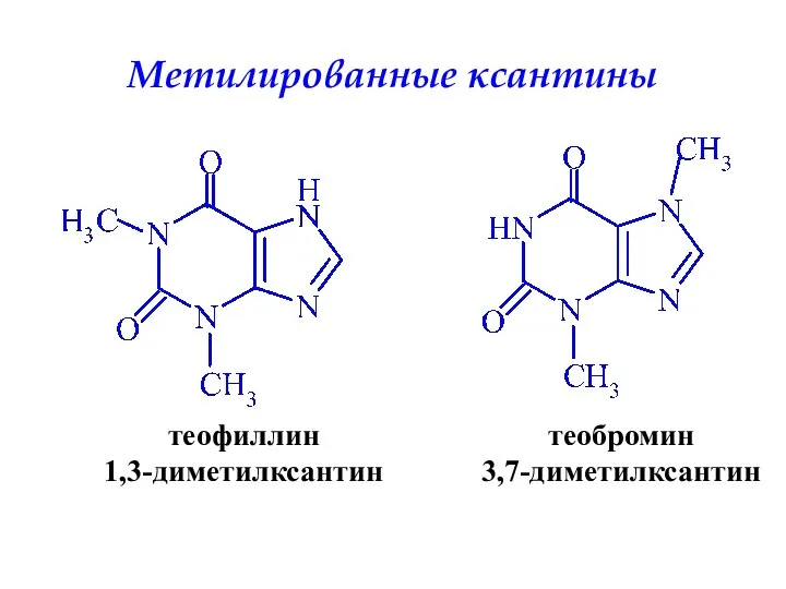 Метилированные ксантины теофиллин 1,3-диметилксантин теобромин 3,7-диметилксантин