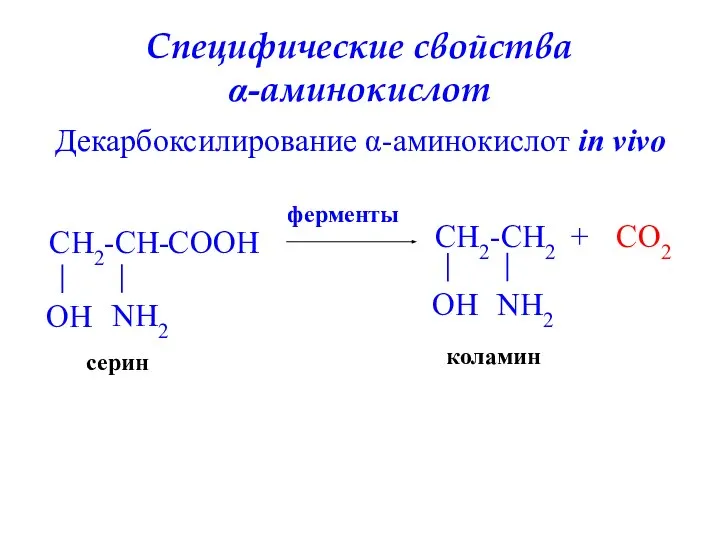 Специфические свойства α-аминокислот Декарбоксилирование α-аминокислот in vivo CH2-CH- NH2 серин COO