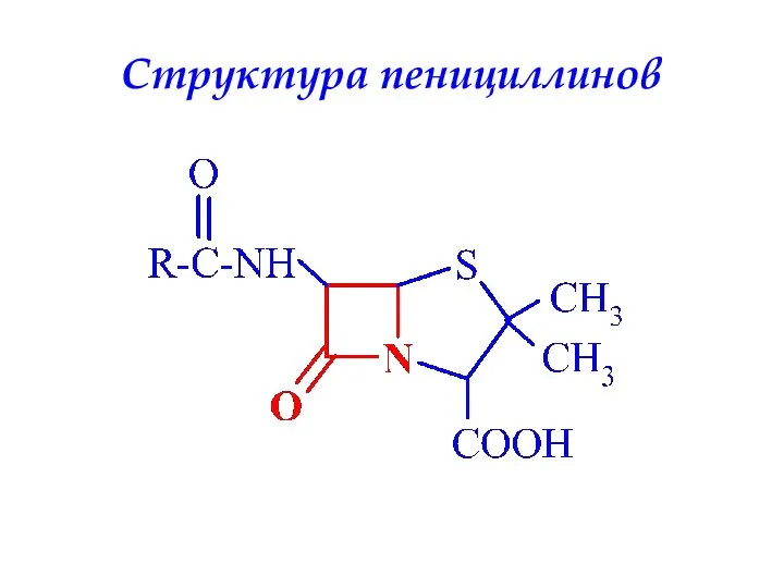 Структура пенициллинов