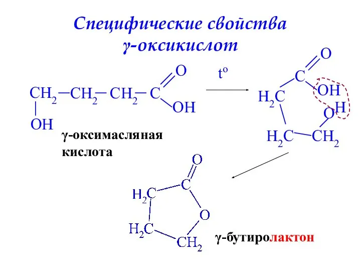 Специфические свойства γ-оксикислот CH2 CH2 CH2 C O OH O H