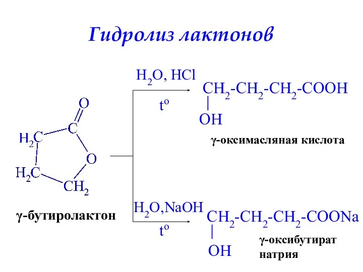 Гидролиз лактонов γ-бутиролактон H2O, HCl to γ-оксимасляная кислота H2O,NaOH to γ-оксибутират натрия