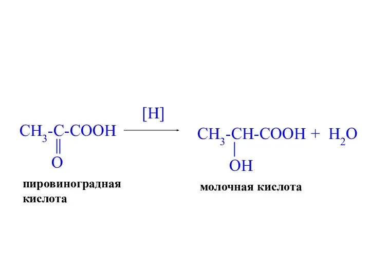 [H] молочная кислота + H2O пировиноградная кислота