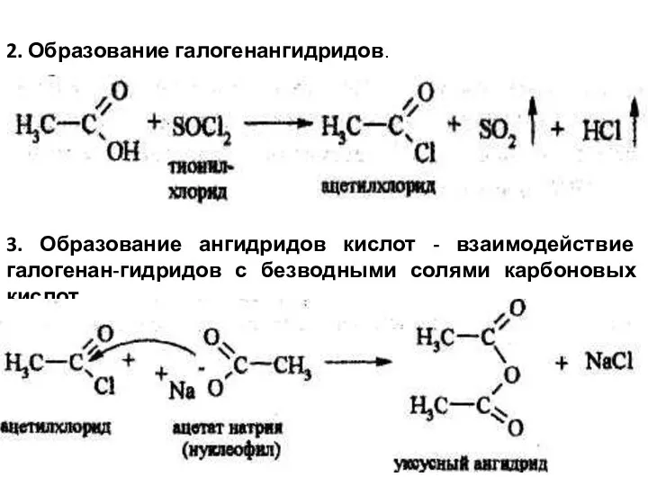 2. Образование галогенангидридов. 3. Образование ангидридов кислот - взаимодействие галогенан-гидридов с безводными солями карбоновых кислот.