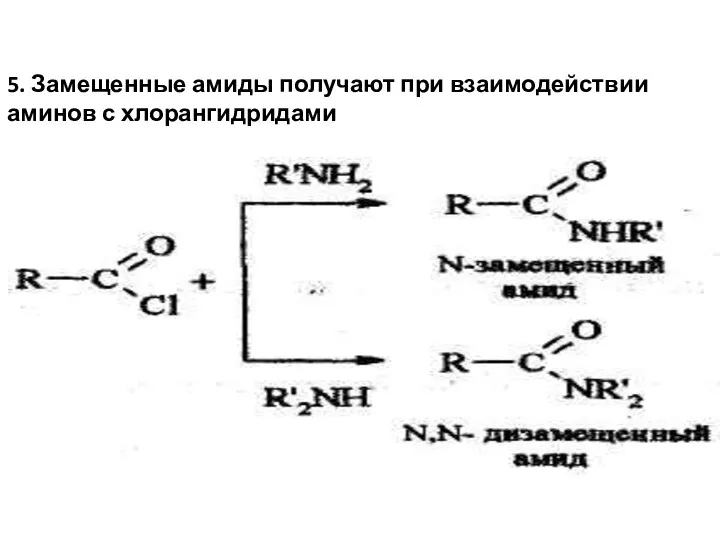5. Замещенные амиды получают при взаимодействии аминов с хлорангидридами
