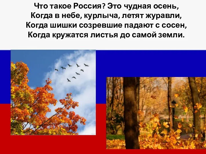 Что такое Россия? Это чудная осень, Когда в небе, курлыча, летят