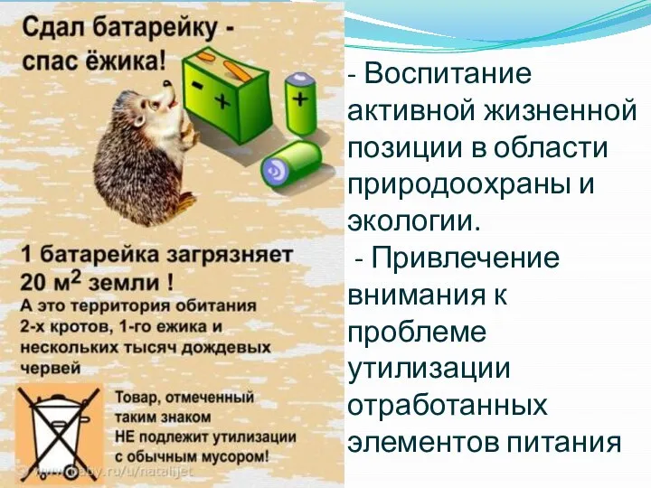 - Воспитание активной жизненной позиции в области природоохраны и экологии. -