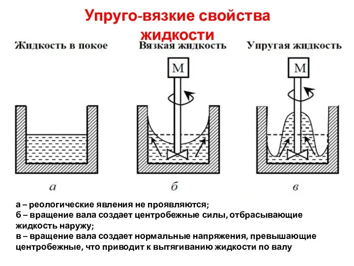 а – реологические явления не проявляются; б – вращение вала создает