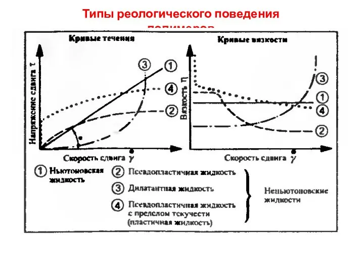 Типы реологического поведения полимеров