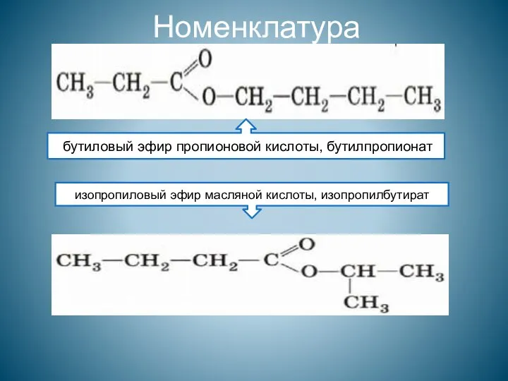 Номенклатура бутиловый эфир пропионовой кислоты, бутилпропионат изопропиловый эфир масляной кислоты, изопропилбутират