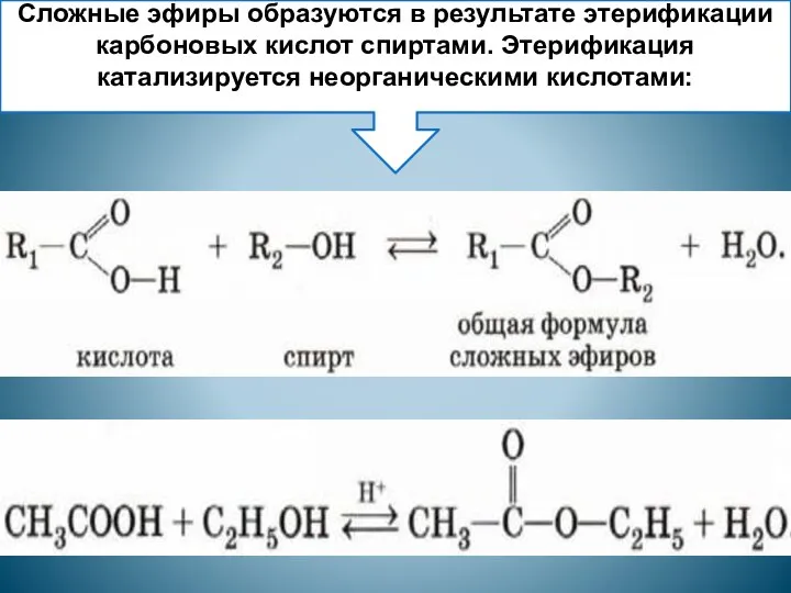 Сложные эфиры образуются в результате этерификации карбоновых кислот спиртами. Этерификация катализируется неорганическими кислотами: