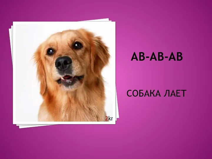 АВ-АВ-АВ СОБАКА ЛАЕТ